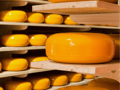 Everything you didn't know about Gouda cheese: origins, taste and more